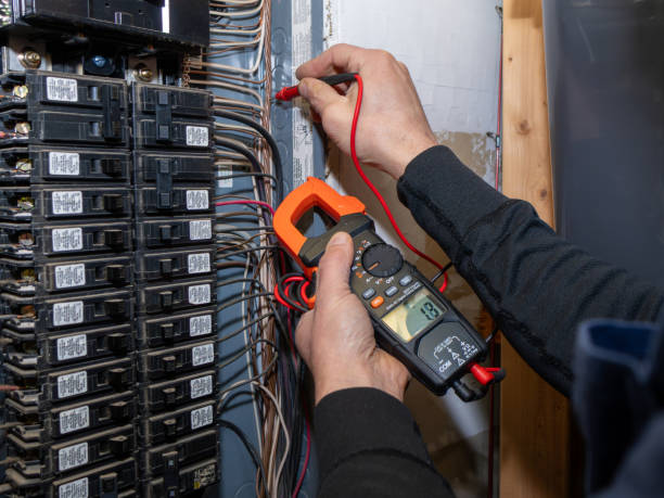 Best Electric Panel Repair  in Homewood, IL